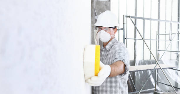 Best Industrial Mold Remediation  in Downey, CA